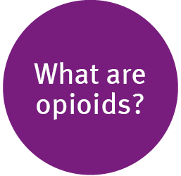 What are Opioids Image